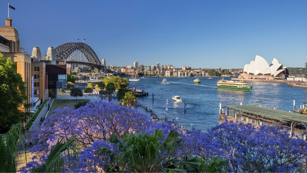 NSW crime statistics by suburb